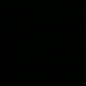 Meet your Posher, Aaliyah